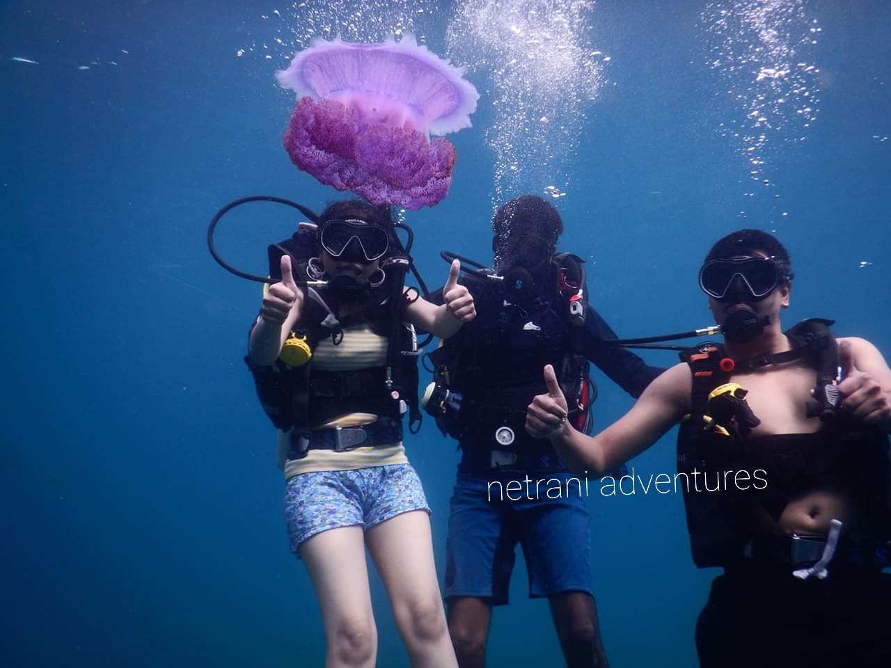 Divers with jellyfish at Netrani Island